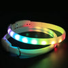 USB Rechargeable LED Dog Collar