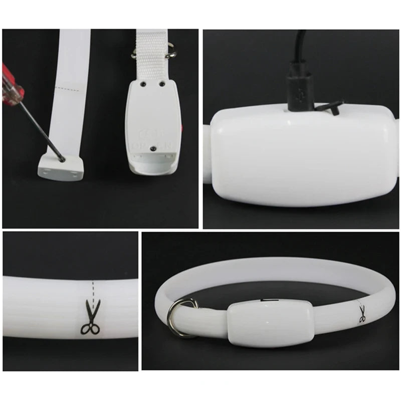 USB Rechargeable LED Dog Collar