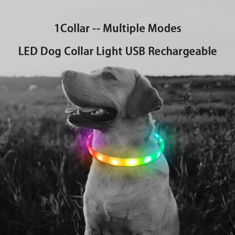 USB Rechargeable LED Dog Collar