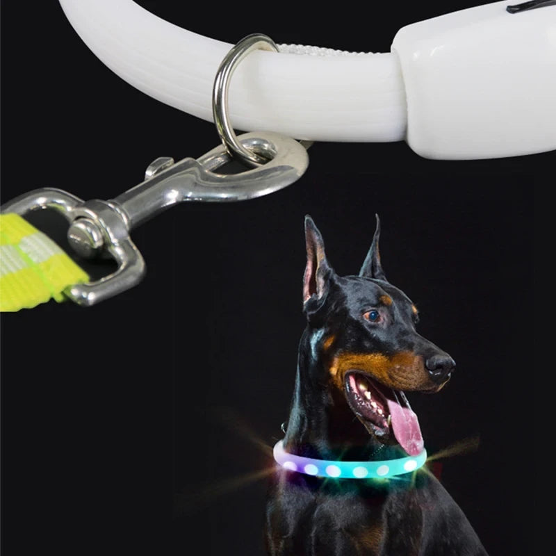 USB Rechargeable LED Dog Collar