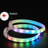 USB Rechargeable LED Dog Collar