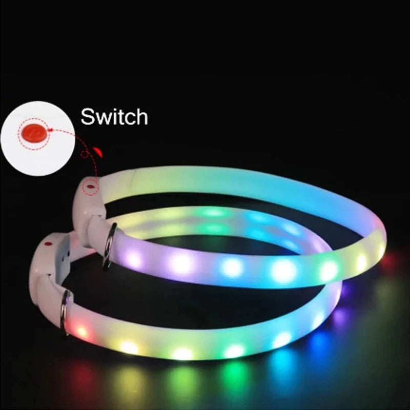 USB Rechargeable LED Dog Collar
