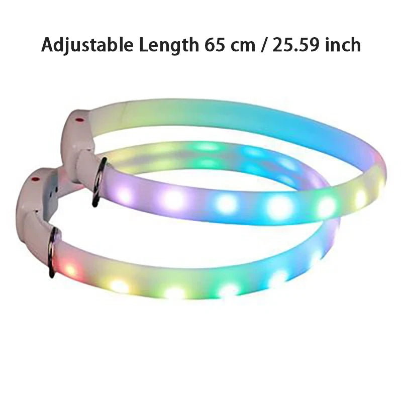 USB Rechargeable LED Dog Collar